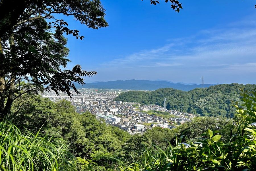 高台から見た福井の街並み